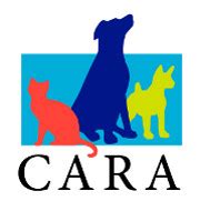 Pets for Adoption at Community Animal Rescue & Adoption, Inc. (CARA), in Jackson, MS | Petfinder