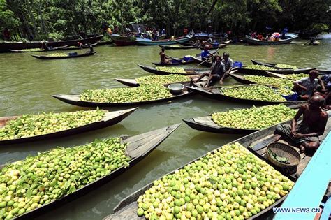 In pics: floating guava market in Barisal, Bangladesh - Xinhua | English.news.cn