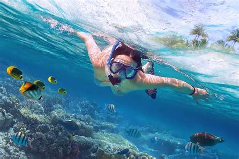 What are the Health Benefits of Snorkeling? - The Marine Lab