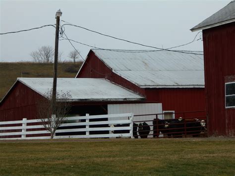 New York State of Mind: OLD ORDER MENNONITE FARM