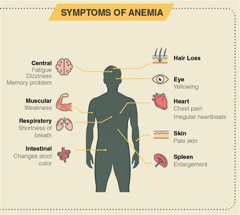 Overview of Anemia: Signs, Symptoms, Causes and Treatment