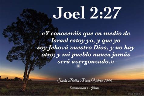 Joel 2:27 «Y conoceréis que en medio de Israel estoy yo, y que yo soy ...