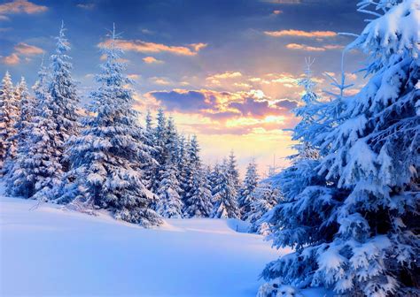 Snow Landscape Trees Wallpapers Hd Desktop And Mobile Backgrounds | My ...