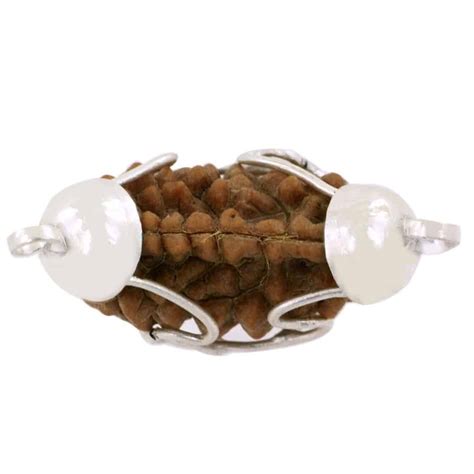 Buy Original Ek Mukhi Rudraksha (One Face) Online at Low Price in India ...