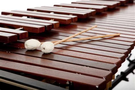 Differences Between Pitched-Percussion Instruments: Xylophone, Glockenspiel, Marimba, Vibraphone ...