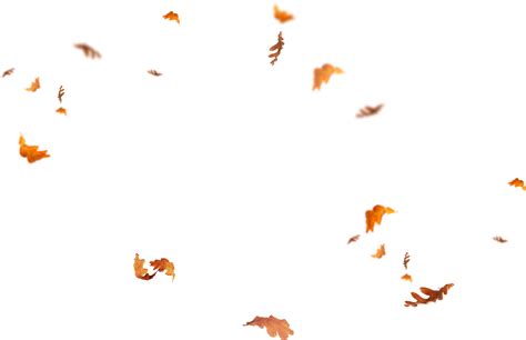 Leafs Png - Brown Autumn Leaves PNG Image - PurePNG | Free transparent ... _ After purchasing ...