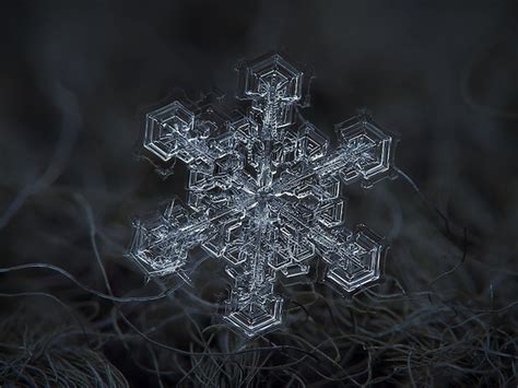 Macro photography of individual snowflakes by Alexey Kljatov