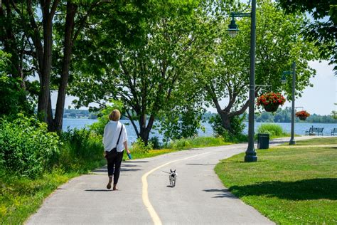 Belleville on the Bay of Quinte