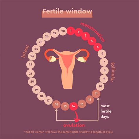 Ovulation Predictor Calendar Fertile Days - Elisha Madelon