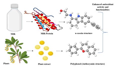 IJMS | Free Full-Text | A Comprehensive Review on the Interaction of ...