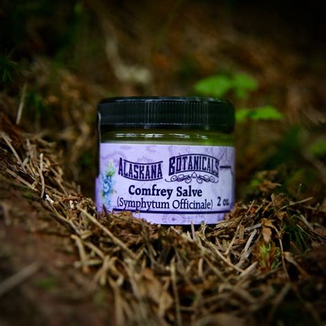 Comfrey Salve – 2 OZ. – Alaskana Botanicals