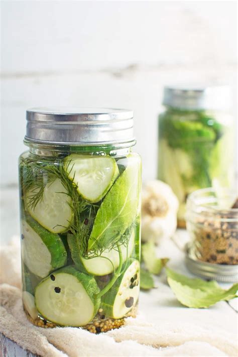 Garlic Dill Pickles - An Easy Refrigerator Pickles Recipe - Little Figgy Food