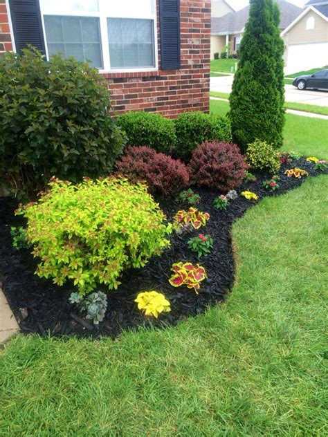 Beautiful flowerbed! Black Mulch made a big difference! | Small front yard landscaping, Home ...