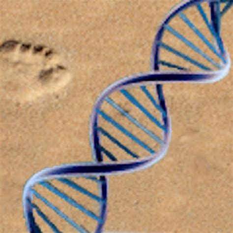 DNA-Footprints.com (@DNA_Footprints) | Twitter