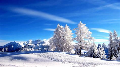 Winter HD Landscapes New Age Music HD Video - YouTube