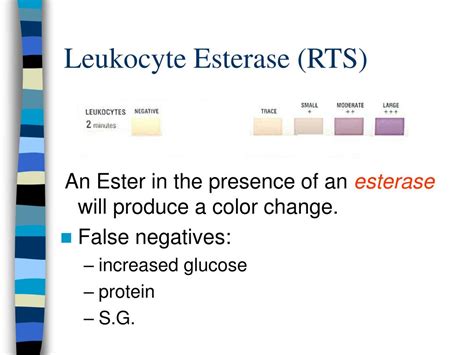 PPT - CLS1113 Introduction to Clinical Laboratory Practices PowerPoint ...