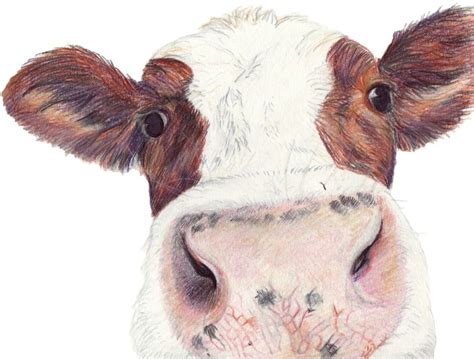 Pencil Drawings Of Farm Animals