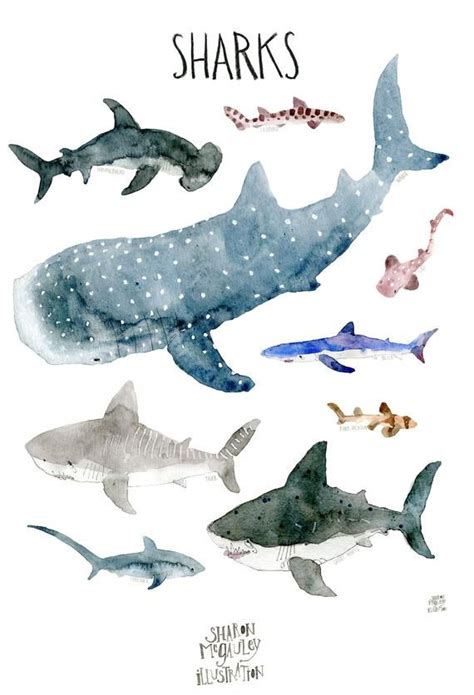 Sharks of the World Animal Art Print Shark Science Poster for image 1 ...