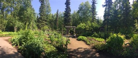 Alaska Botanical Garden (Anchorage) - 2021 All You Need to Know BEFORE ...