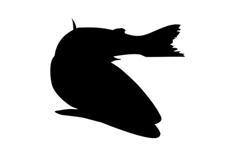 Salmon Fish Silhouette for Icon, Symbol, Logo, Pictogram, Apps, Website or Graphic Design ...