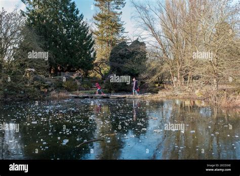 Cambridge botanic gardens winter hi-res stock photography and images ...