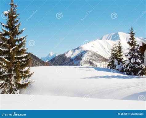 Alpine Winter Snow scene stock photo. Image of solitude - 56360