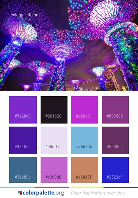 Purple Pink Entertainment Color Palette | colorpalette.org