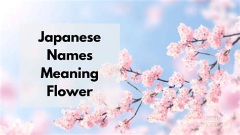 40 Japanese Names Meaning Flower – Japan Truly