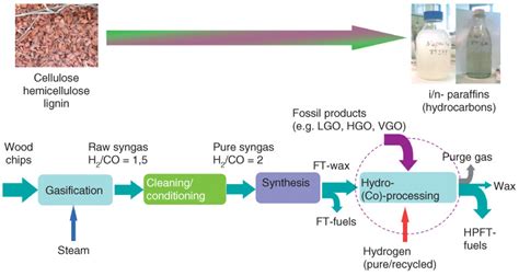 Biomass gasification for synthesis gas production and applications of ...