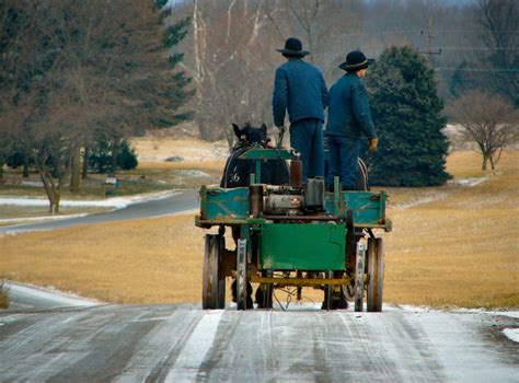 Old Order Amish Archives - Amish Wisdom | Amish community, Amish farm, Amish