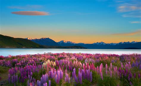 Lake Tekapo Photos Featured Pictures Of Lake Tekapo Mackenzie | Images ...