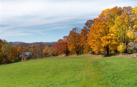 Pomfret, Vermont Fall Foliage 2019 | Anthony Quintano | Flickr
