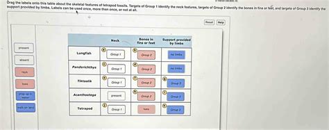 Solved: Drag the labels onto this table about the skeletal features of tetrapod fossils. Targets ...