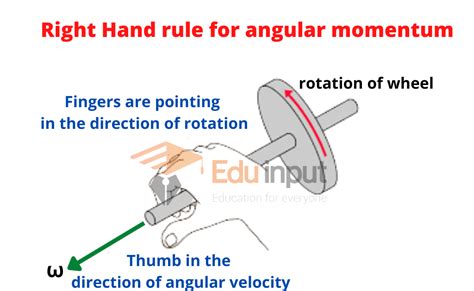 Angular Momentum | Law of Conservation of Angular Momentum