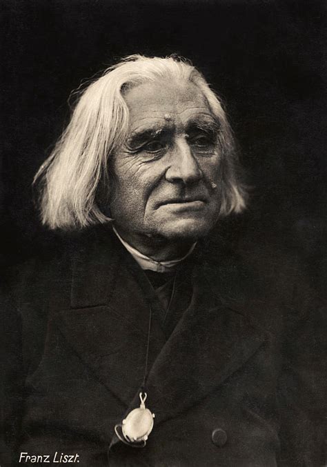 Franz Liszt Portrait Hungarian ... | Liszt, Classical music composers, Classical musicians