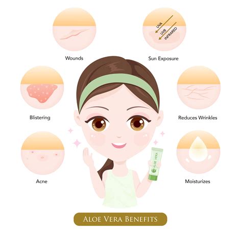 How to Apply Aloe Vera on Your Face - ORO GOLD School