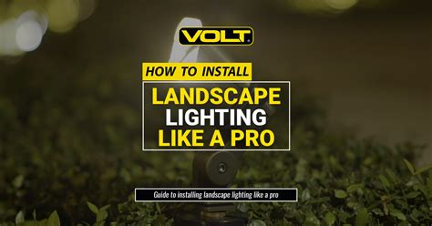 DIY Professional Landscape Lighting Installation