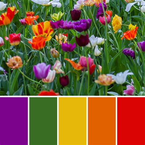 Spring Colour Palettes + Hex Codes - Mean Creative