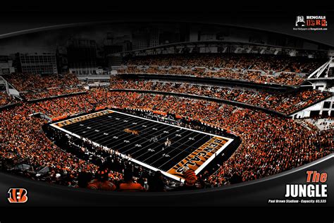 Bengals Wallpapers - Wallpaper Cave