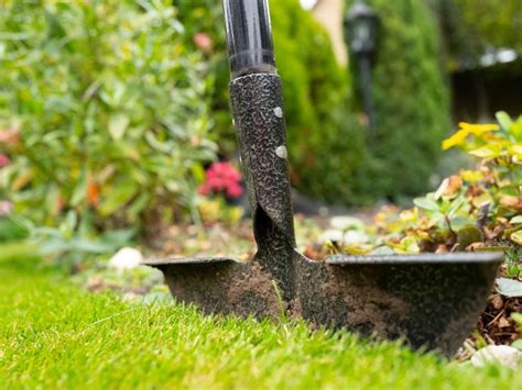 Lawn And Garden Edgers - What Is An Edger Used For In The Garden