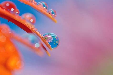 35 Beautiful Examples Of Water Drop Photography Graphic Design Junction