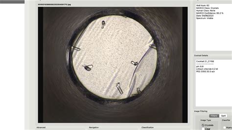 Image Analysis to Identify Protein Crystals