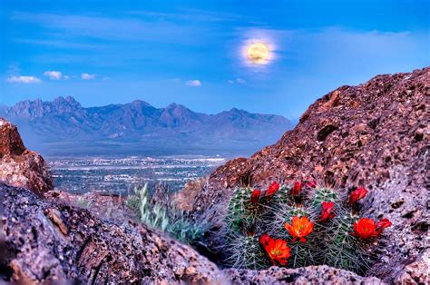 15 Free Things to Do in Las Cruces, NM - Travel Lens