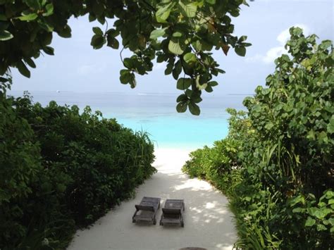 Maldives resorts paradise Photos in .jpg format free and easy download ...