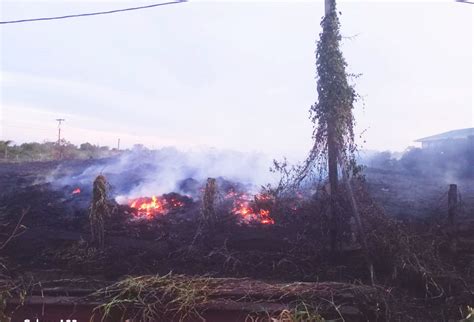 Garbage fire scorches New Guyana School’s fence - Stabroek News