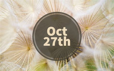 October 27th Zodiac — Scorpio Traits, Love Life, Career & More