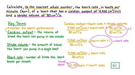 Question Video: Calculating Heart Rate from Cardiac Output and Stroke Volume | Nagwa