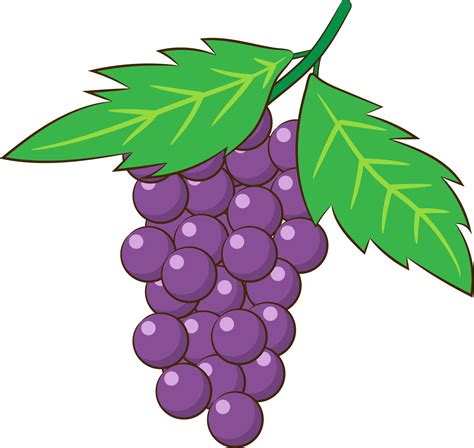 Grape Clipart