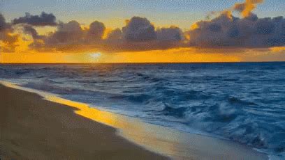 Hawaii Ocean Waves GIF - Beach Waves Sunset - Discover & Share GIFs