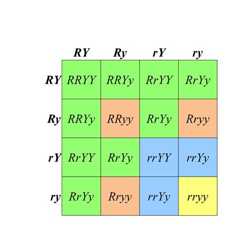 8.2 Recall – Mendelian Dihybrid Crosses – Introduction to Genetics